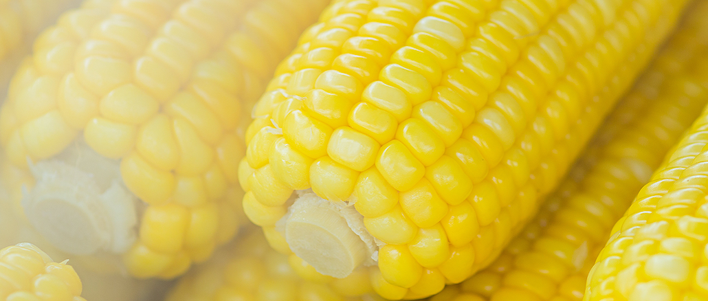 corn